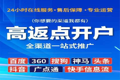 精准投放，高效转化：关键词竞价排名案例解析